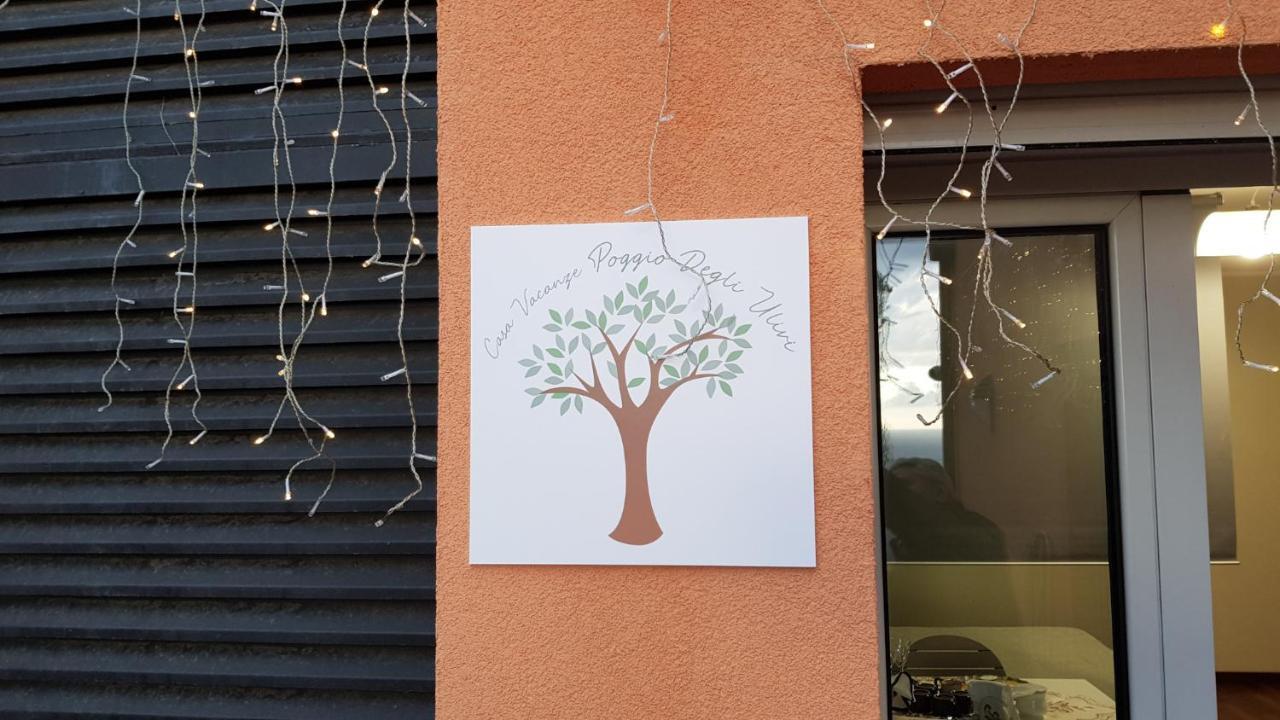 Appartamento Poggio Degli Ulivi